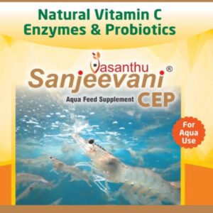 Natural Vitamin C Enzymes & Probiotics