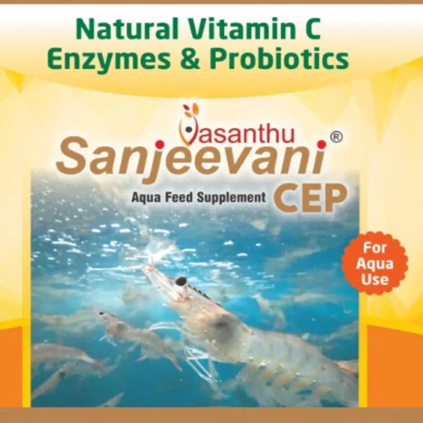Sanjeevani_1x1_stretched_1080x1080-600x600